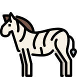 Zebra icon