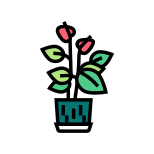 Houseplant icon