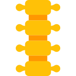 脊柱 icon