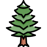 Pine Tree icon