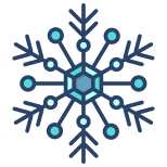 Flocon de neige icon