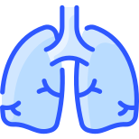 Lungs icon