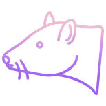 Rat icon