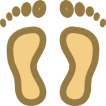 Footprint icon