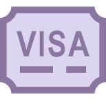 Visa de entrada icon