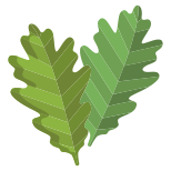внешние-дубовые листья-icongeek26-плоские-icongeek26 icon