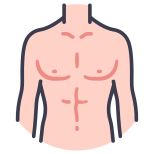 Anatomy icon