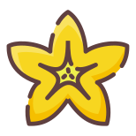 Starfruit icon