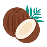 Noce di cocco icon