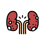 Glomerulonephritis icon