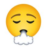 emoji-exhalando-la-cara icon