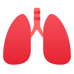 Pulmones icon