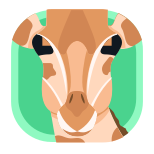 Animal icon