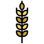 Wheat icon