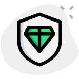 Premium protection plan isolated on white background icon