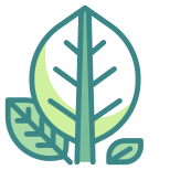 Botanical icon