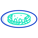 Huarache icon