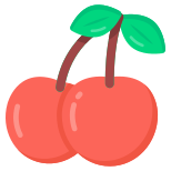 Cherries icon