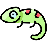 Chameleon icon