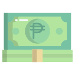 Philippine Peso icon