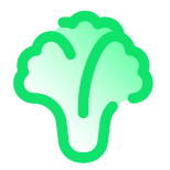 Lettuce icon