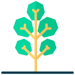 Tree icon