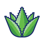 Aloe Vera icon