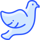 Pigeon icon