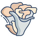 Maitake Mushrooms icon
