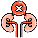 Kidney icon