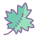 Maple Leaf icon