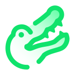 Crocodile icon