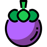 Mangosteen icon