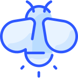 Firefly icon