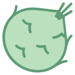 Kohlrabi icon