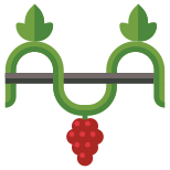 Grape Vine icon