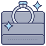 Accessory icon