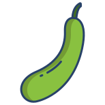 Bitter Gourd icon