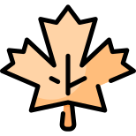 Mapple Leaf icon