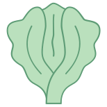 レタス icon
