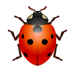 Lady Beetle icon
