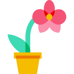 Orchid icon