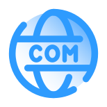 Domain Name icon