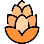 Cone icon