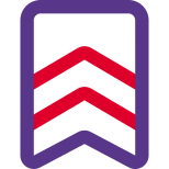 Double striped batch for home guards national uniform icon