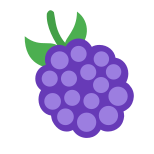 黑莓 icon