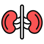 Kidney icon