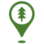 Fir icon