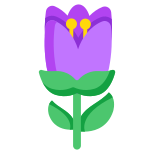 Tulip Flower icon
