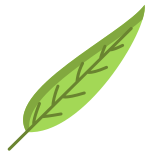 Gum Tree Leaf icon